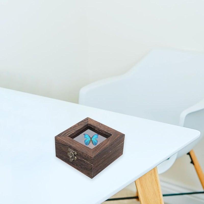 حافظة عرض خشب الباولونيا المتفحم مع غطاء شفاف قابل للقفل لمجموعات الحشرات والزهور والمجوهرات - Image 5